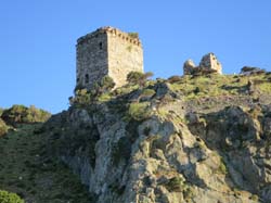 IMG_1080