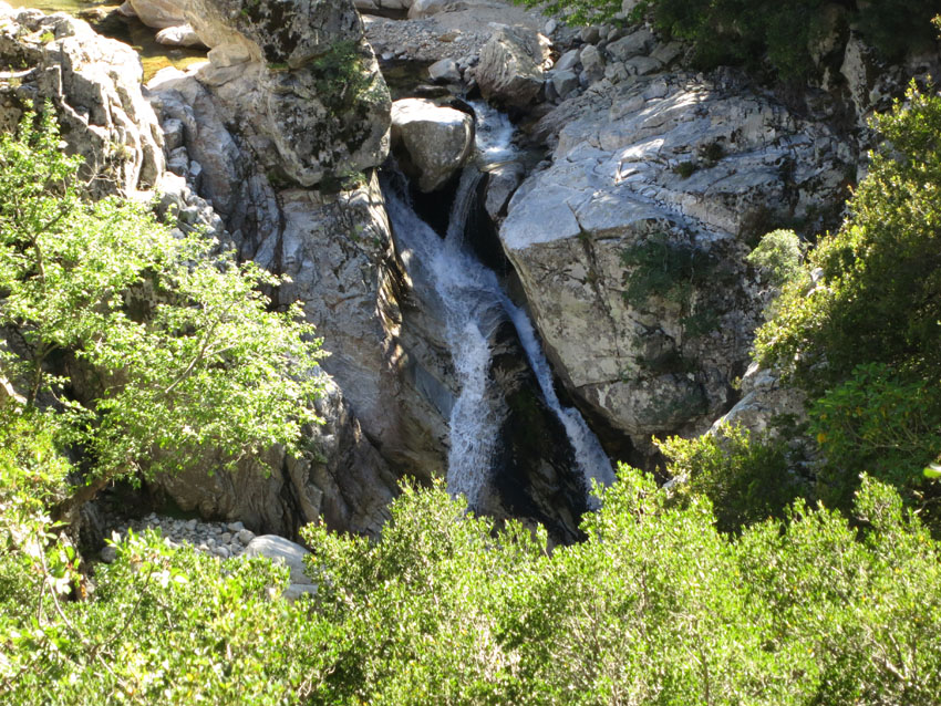 IMG_1148