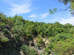 IMG_1136