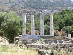 IMG_1464