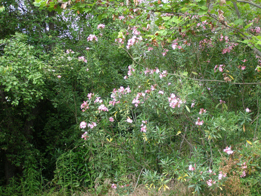 P6160744