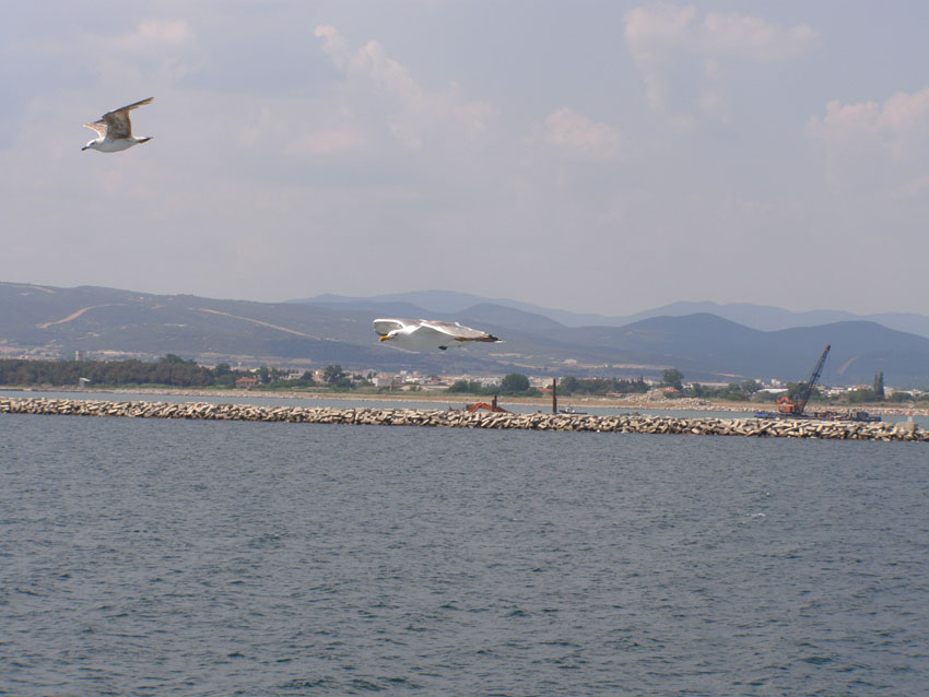 P6170769