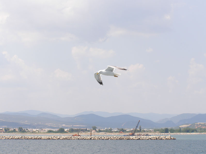 P6170770