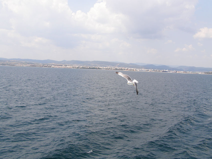 P6170775