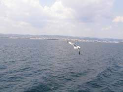 P6170775
