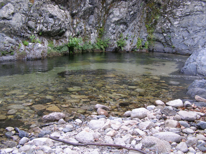 P6200979