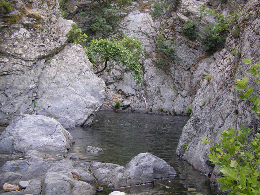 P6200980