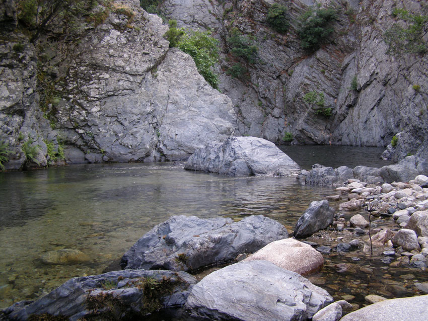 P6200982