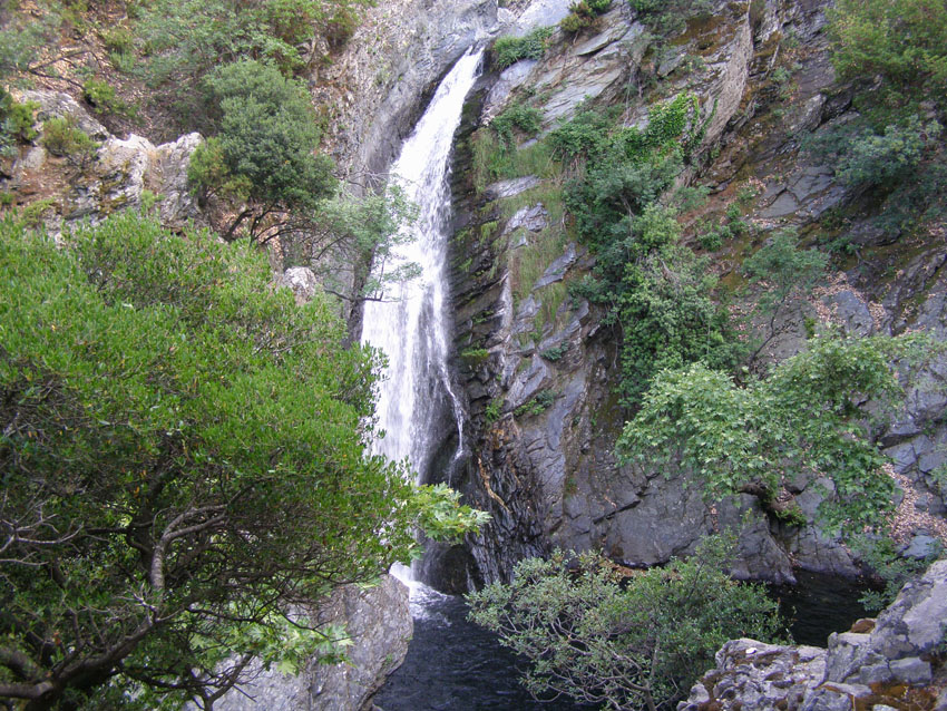P6200985