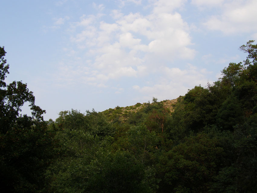 P6200990