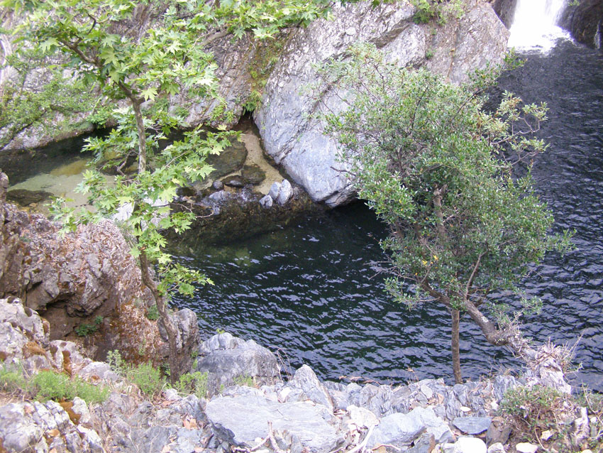 P6200991