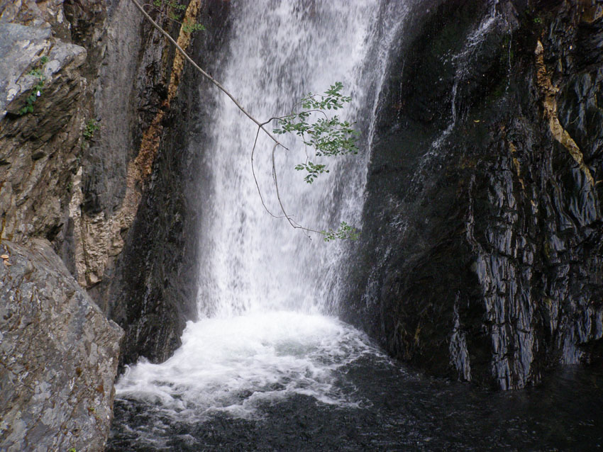 P6200994