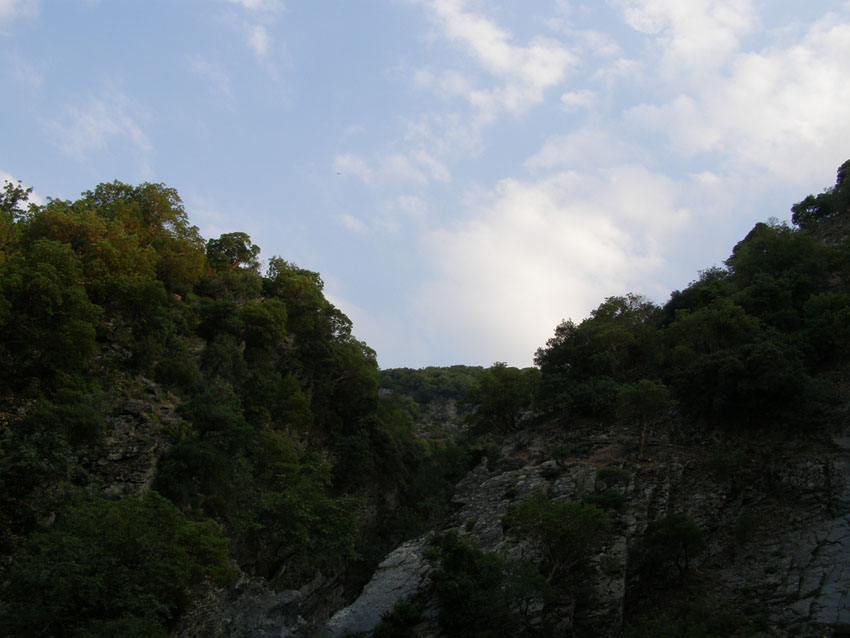 P6200998