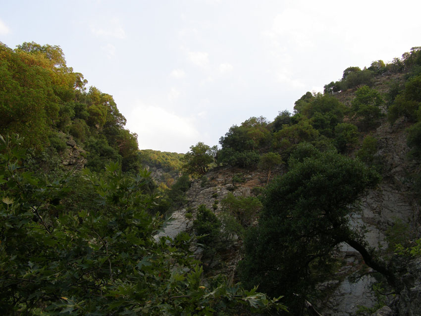 P6201000