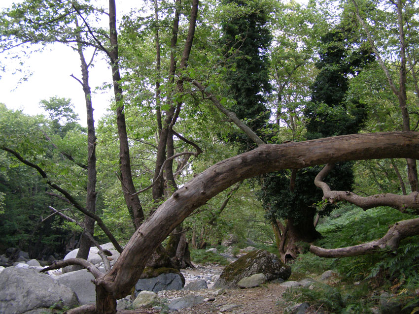 P6201004