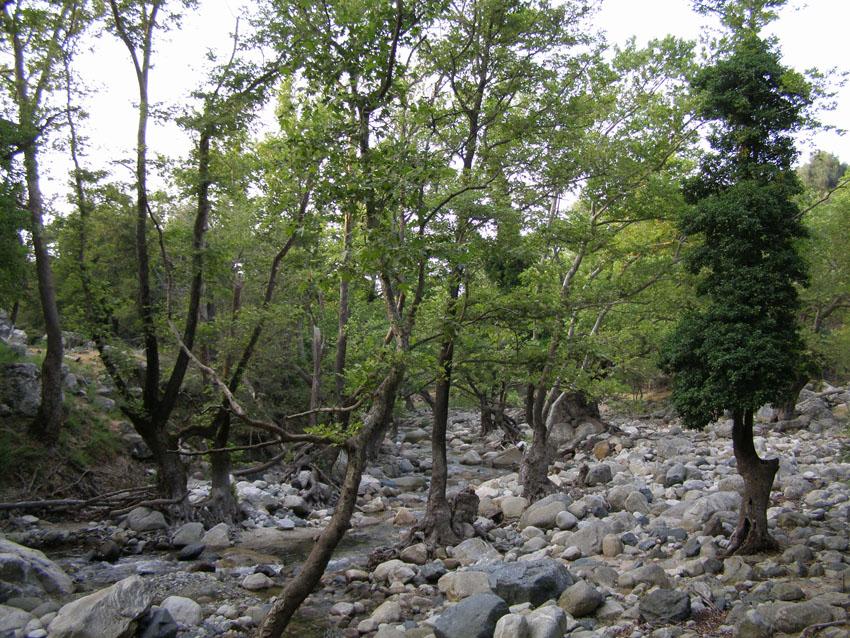 P6201011