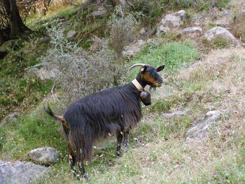 P6201013