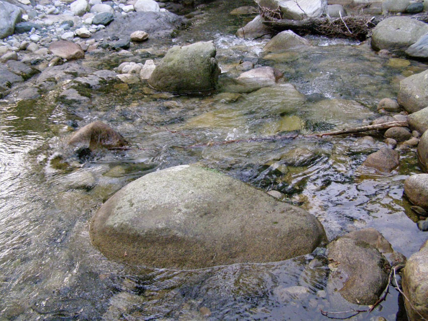 P6201020