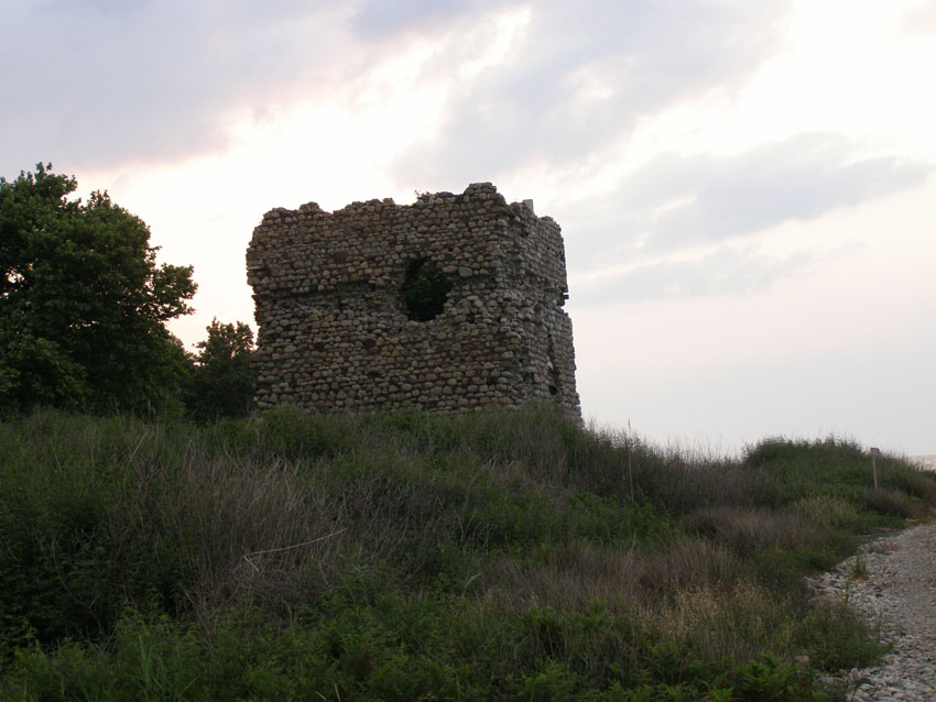 P6201044