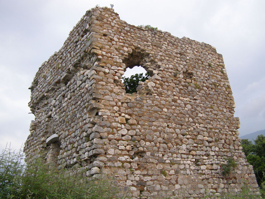 P6201047