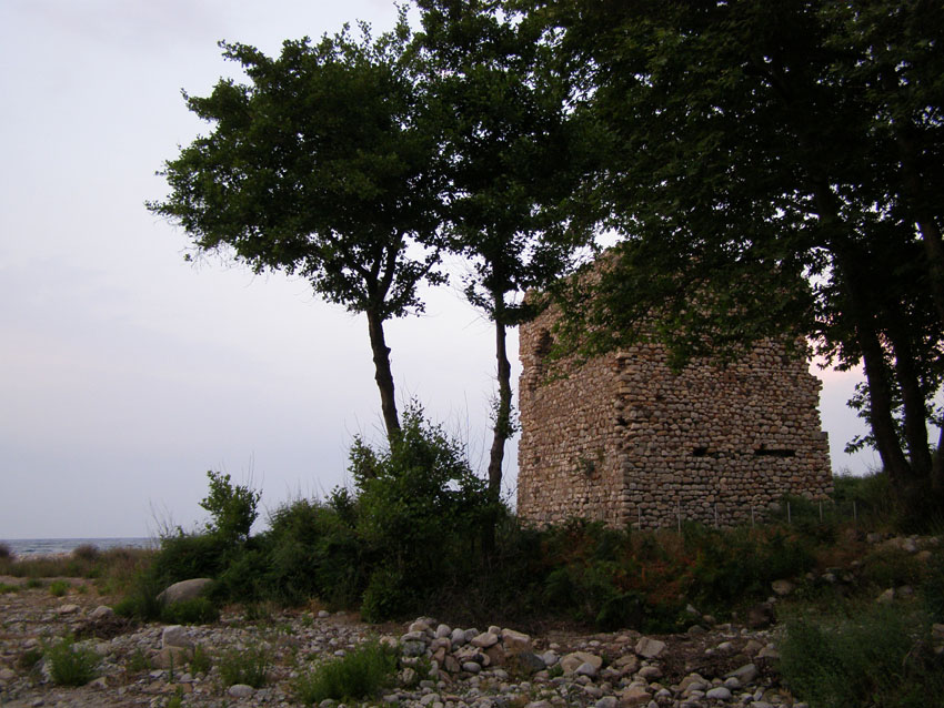 P6201052