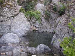 P6200980