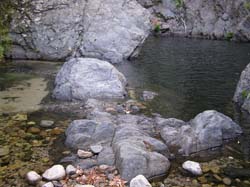 P6200981