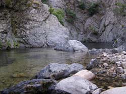 P6200982