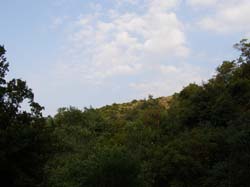 P6200990