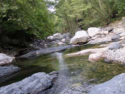 P6201002