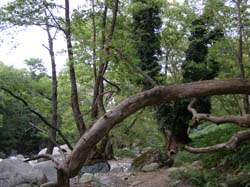 P6201004