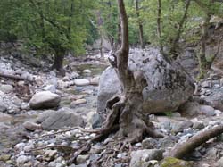 P6201005