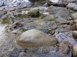 P6201020