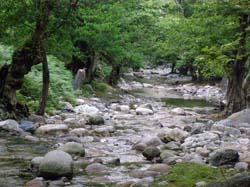 P6201021