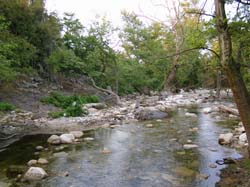 P6201025