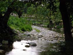 P6201030