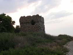 P6201044