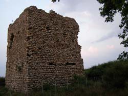 P6201049