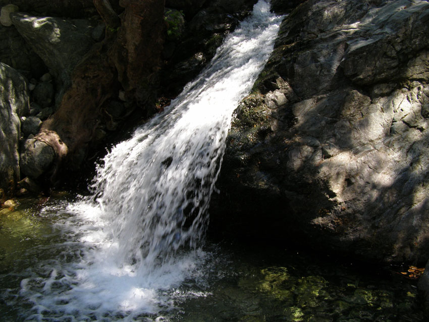 P6180883
