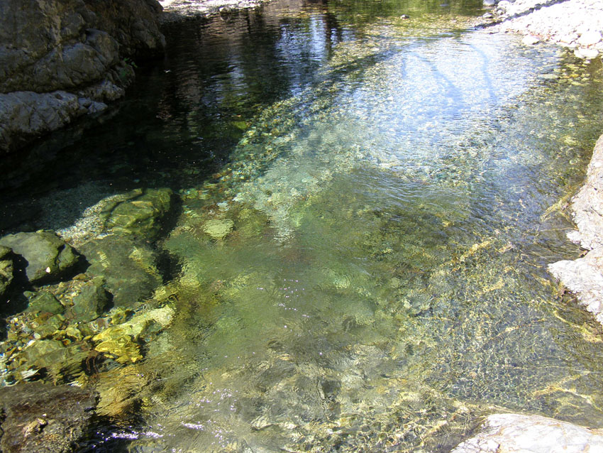 P6180885