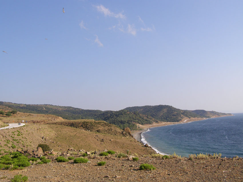 P6211086