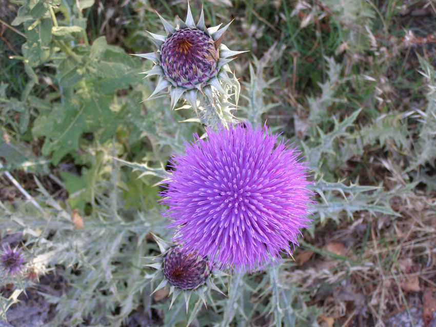 P6211108