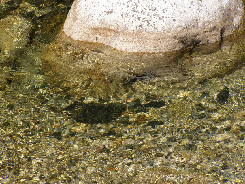 P6211114