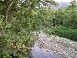 P6170856