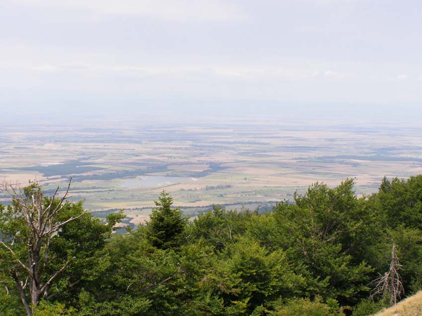 P7261080