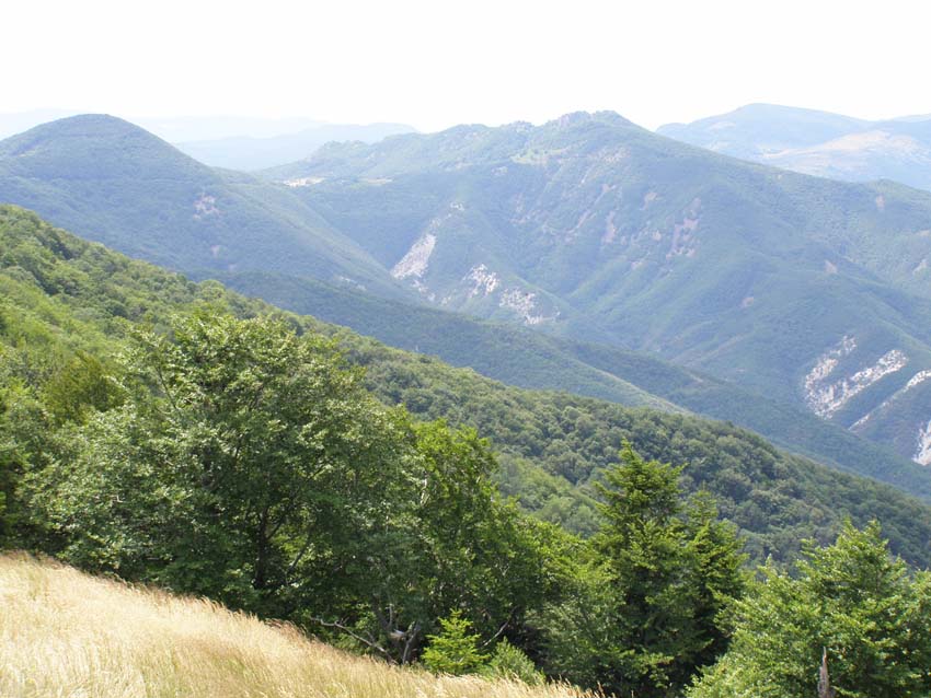P7261082