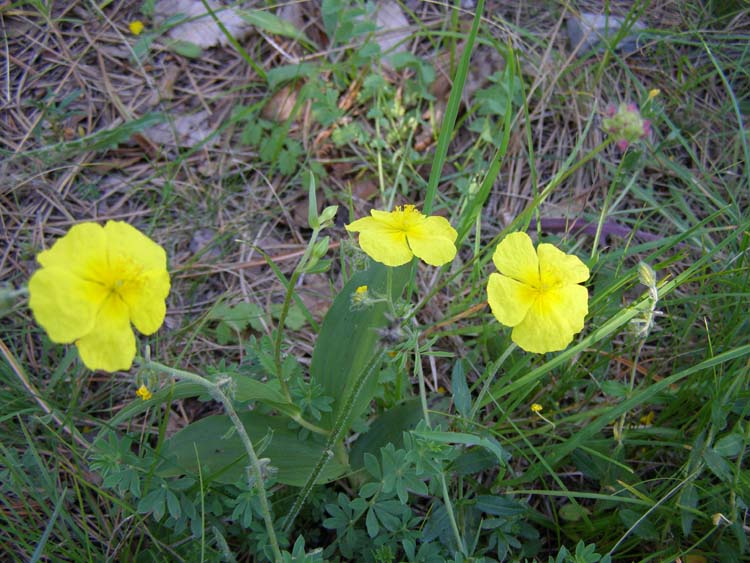 P6210444