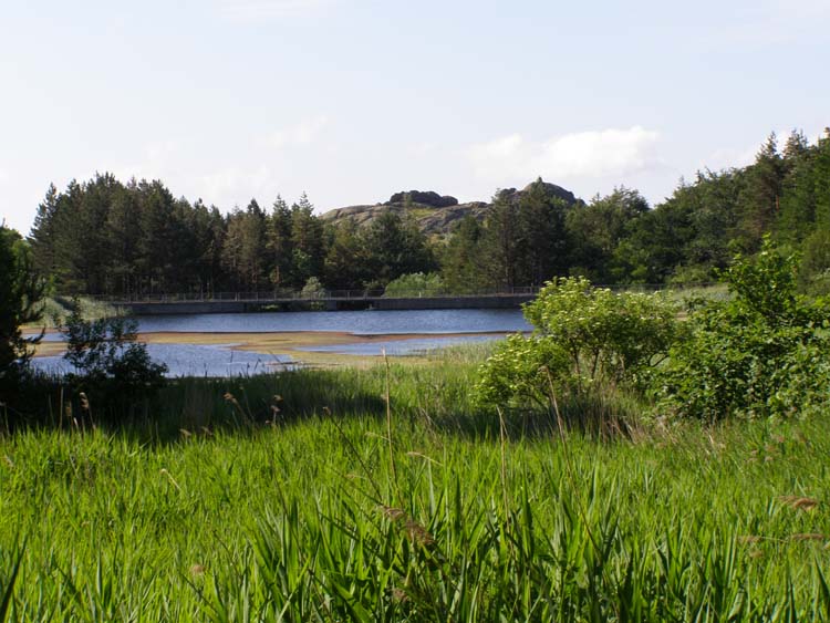 P6210447