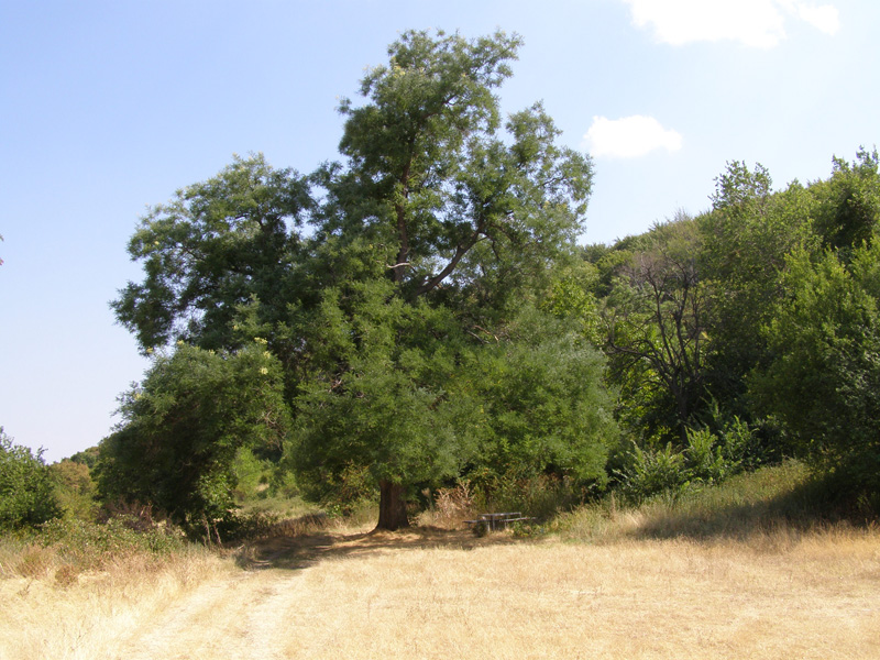 P8300619
