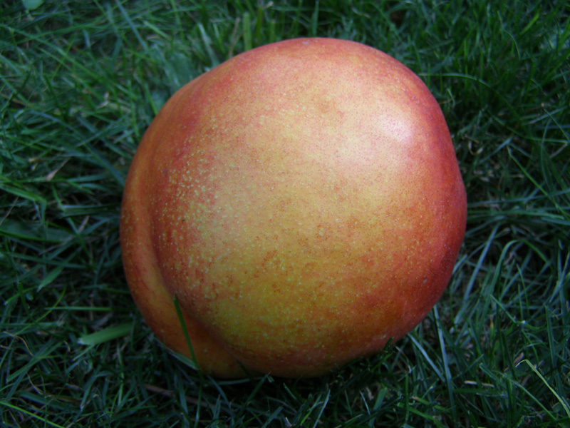 P8310623